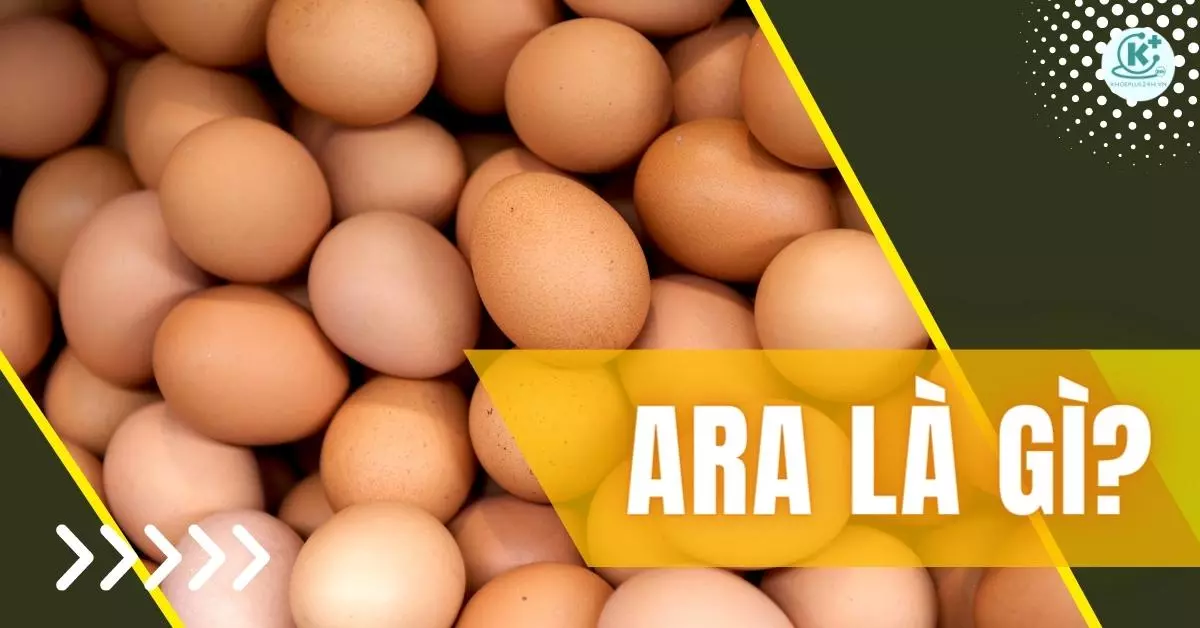 hoat-chat-ara-la-gi