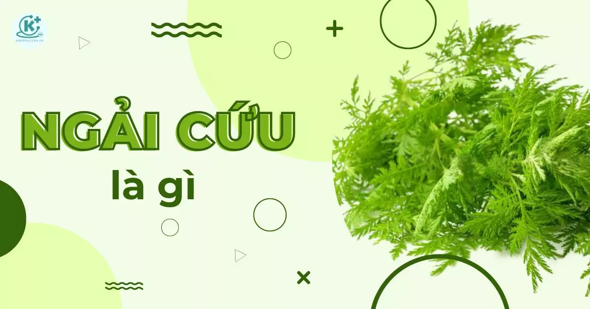 ngai-cuu-la-gi