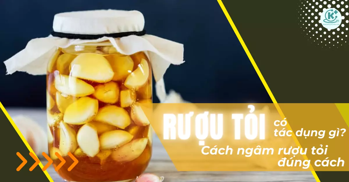 rượu tỏi có tác dụng gì