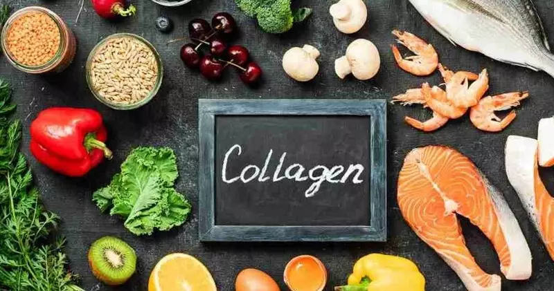 Collagen có công dụng liên kết tế bào, thúc đẩy quá trình trao đổi chất
