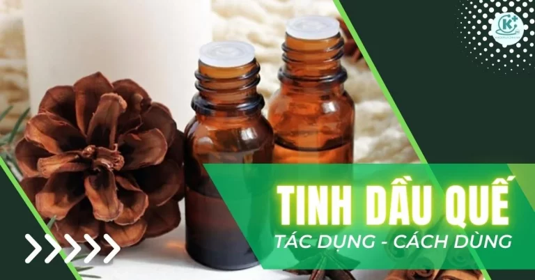 tinh-dau-que-co-tac-dung-gi-thumb