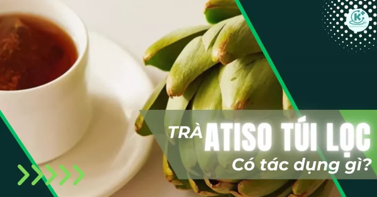 trà atiso túi lọc có tác dụng gì
