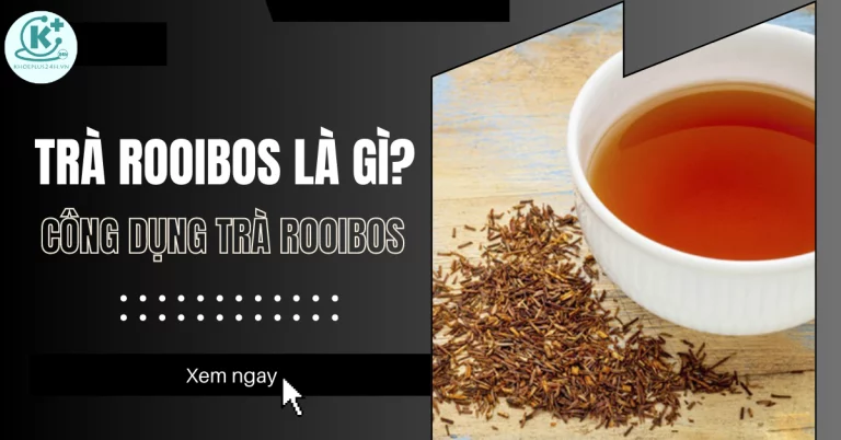 trà rooibos là gì