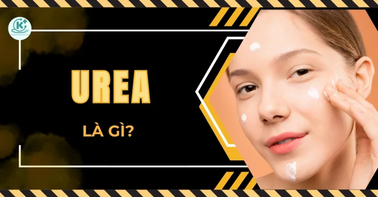 Urea là gì? 7 tác dụng của urea trong mỹ phẩm?