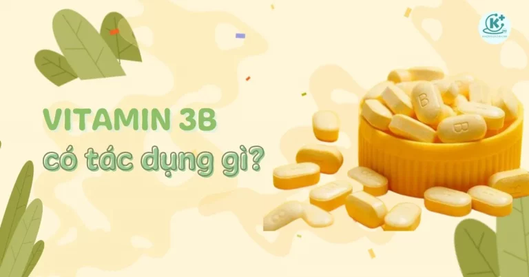 vitamin 3b có tác dụng gì