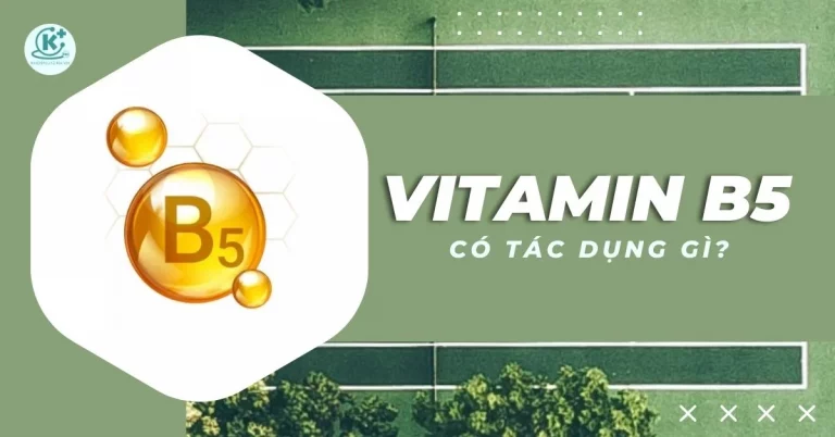 vitamin b5 có tác dụng gì