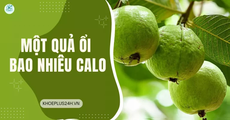 1 quả ổi bao nhiêu calo