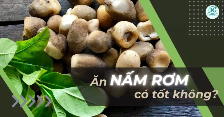 Ăn nấm rơm có tốt không? 9+ tác dụng của nấm rơm