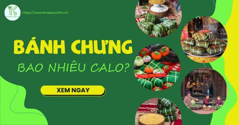 Bánh chưng bao nhiêu calo? Ăn bánh chưng có béo không?