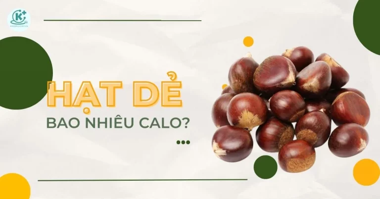 hạt dẻ bao nhiêu calo