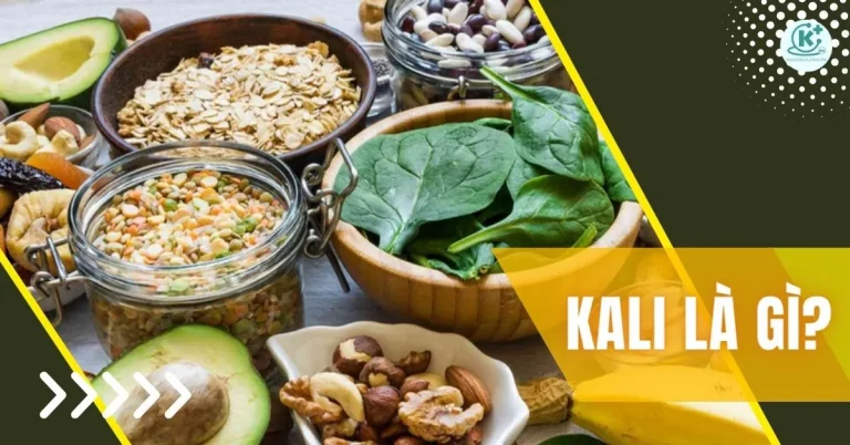 kali là gì