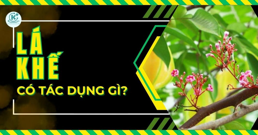 lá khế có tác dụng gì