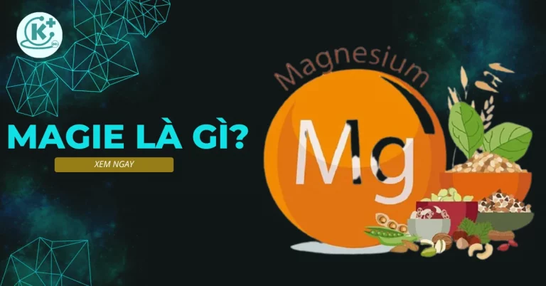 magie là gì