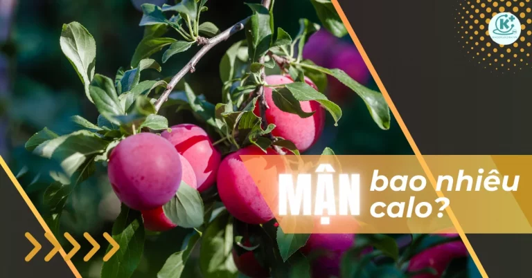 Mận bao nhiêu calo? Ăn mận có béo (mập) không?