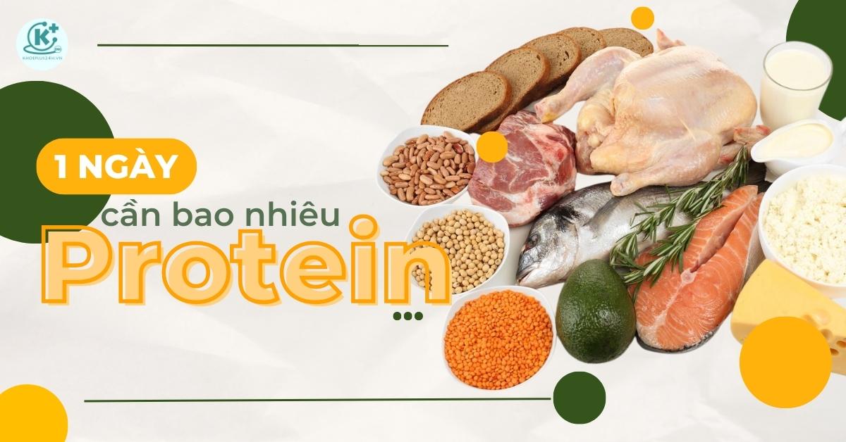 1 ngày cần bao nhiêu protein