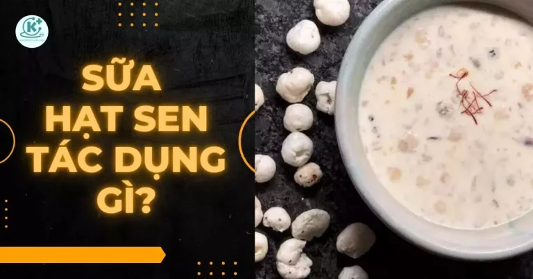 sữa hạt sen có tác dụng gì