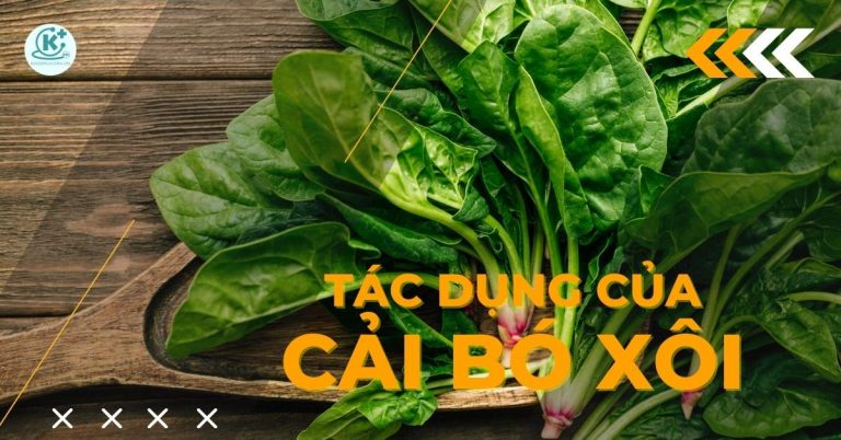 tác dụng của cải bó xôi