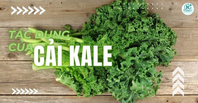 tác dụng của cải kale
