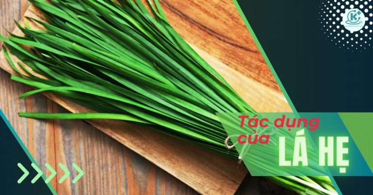 tác dụng của lá hẹ