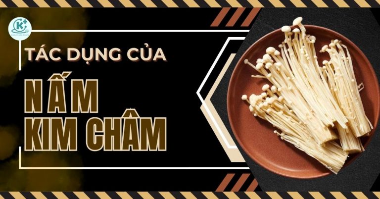 tác dụng của nấm kim châm