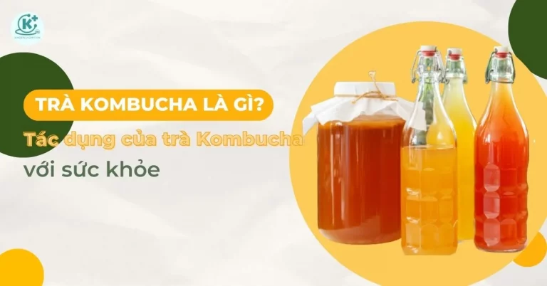 tác dụng của trà kombucha