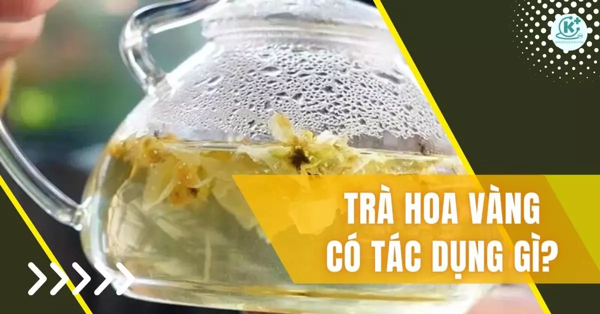 tác dụng của trà hoa vàng
