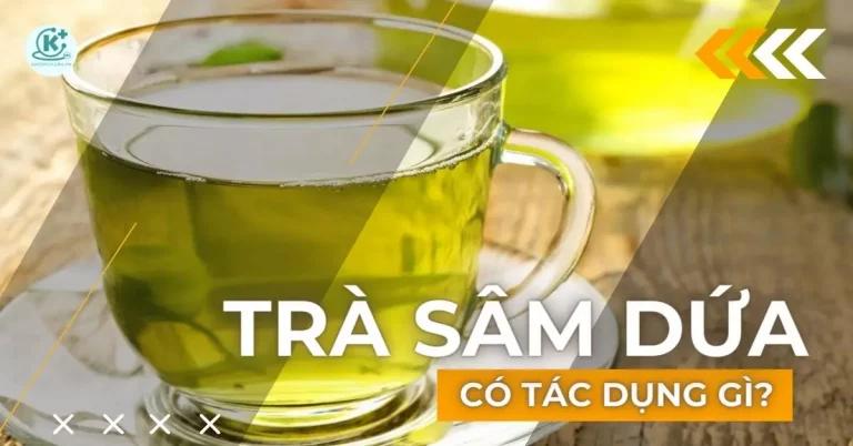 trà sâm dứa có tác dụng gì