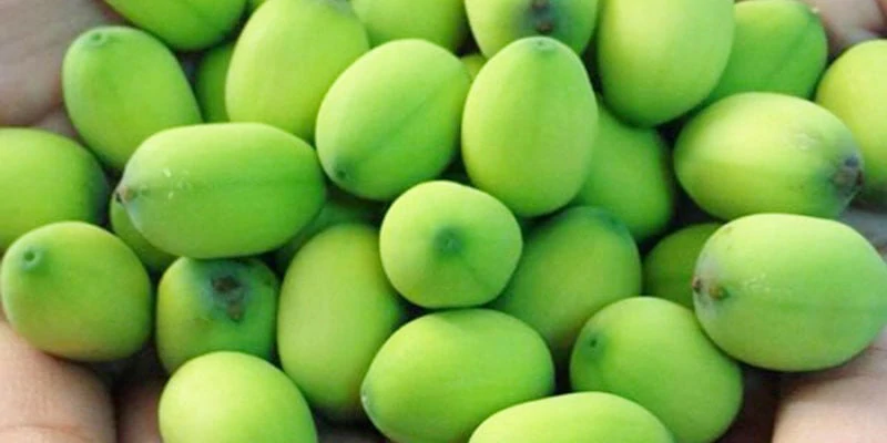 Dùng để pha trà hoặc điều chế những bài thuốc