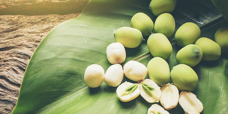 Nhân hạt sen có nhiều tác dụng