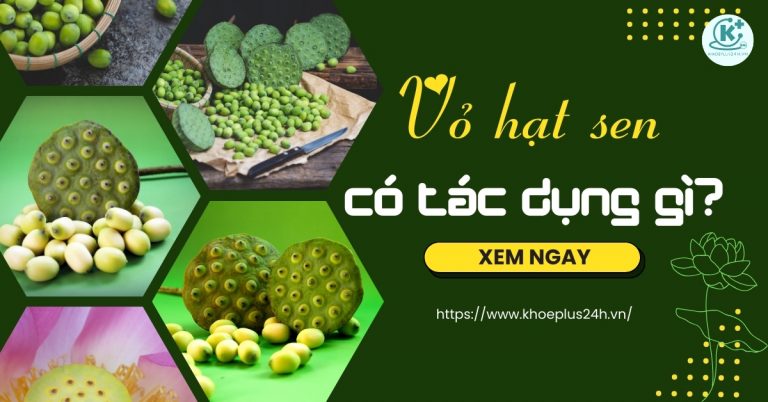 Vỏ hạt sen có tác dụng gì? Cách sử dụng vỏ hạt sen hiệu quả