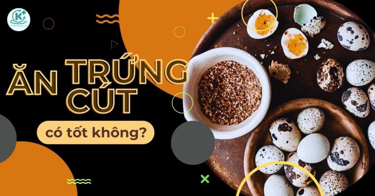 ăn trứng cút có tốt không