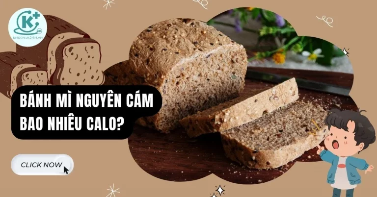 bánh mì nguyên cám bao nhiêu calo