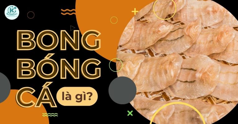 bong bóng cá là gì