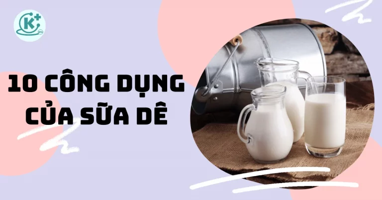 cong-dung-cua-sua-de