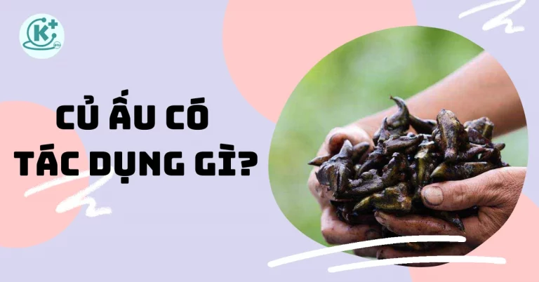 củ ấu có tác dụng gì