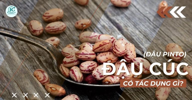 đậu cúc có tác dụng gì