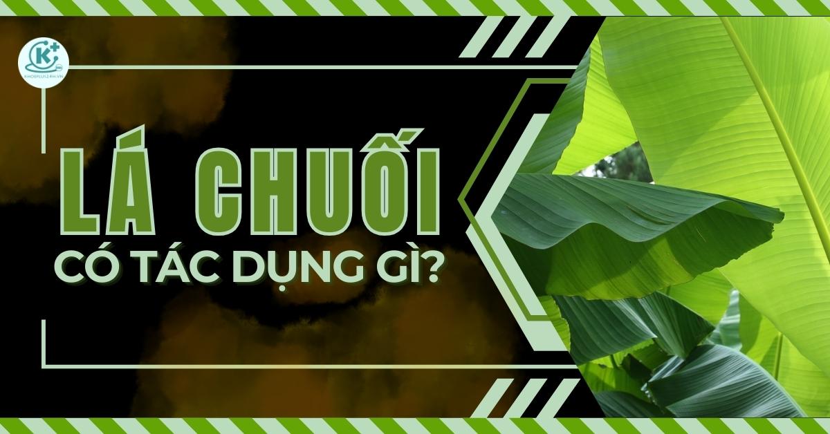 lá chuối có tác dụng gì