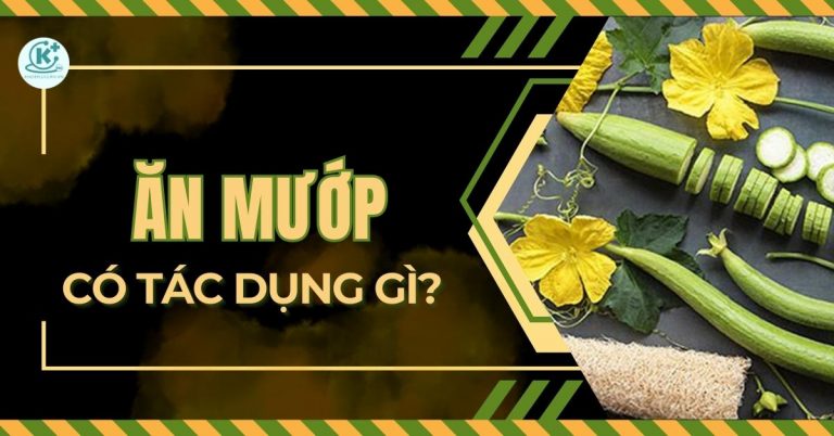 muop-la-gi-an-muop-co-tac-dung-gi-8-tac-dung-cua-qua-muop-thumbnail