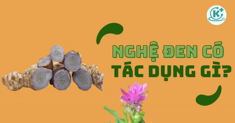 nghệ đen có tác dụng gì