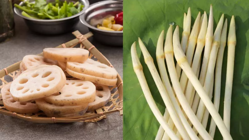 Ngó sen và củ sen là một và đều là phần thân của cây hoa sen