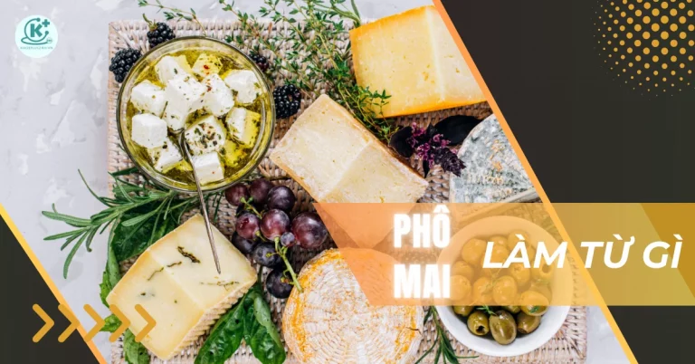 Phô mai làm từ gì? Tác dụng của phô mai đối với sức khỏe