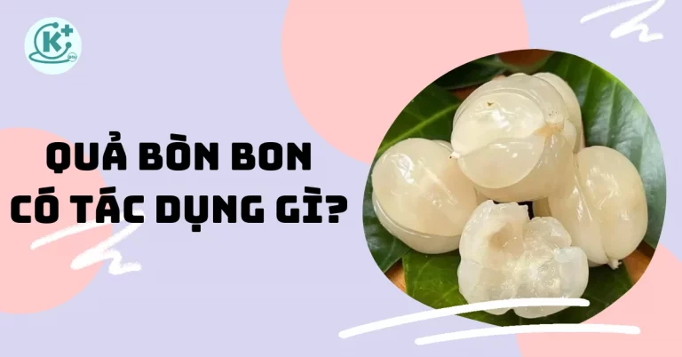 quả bòn bon có tác dụng gì