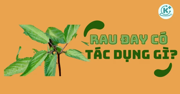 rau đay có tác dụng gì