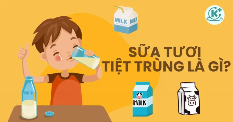 sữa tươi tiệt trùng là gì