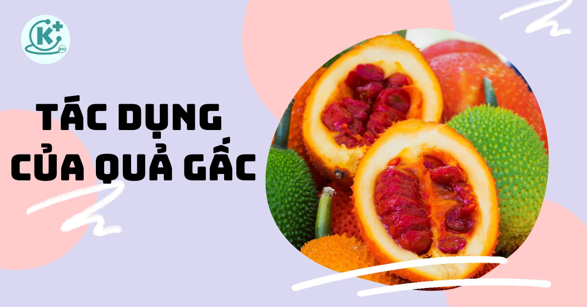 tác dụng của quả gấc