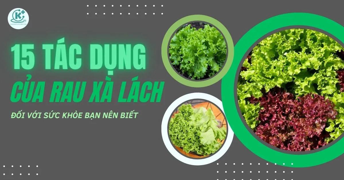 tác dụng của rau xà lách