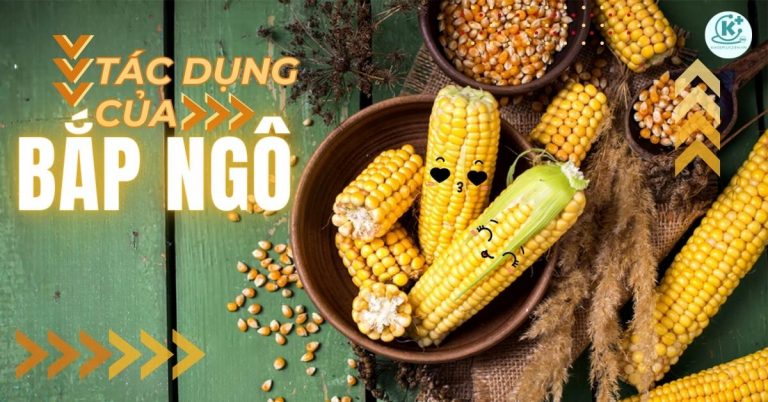 tác dụng của bắp ngô