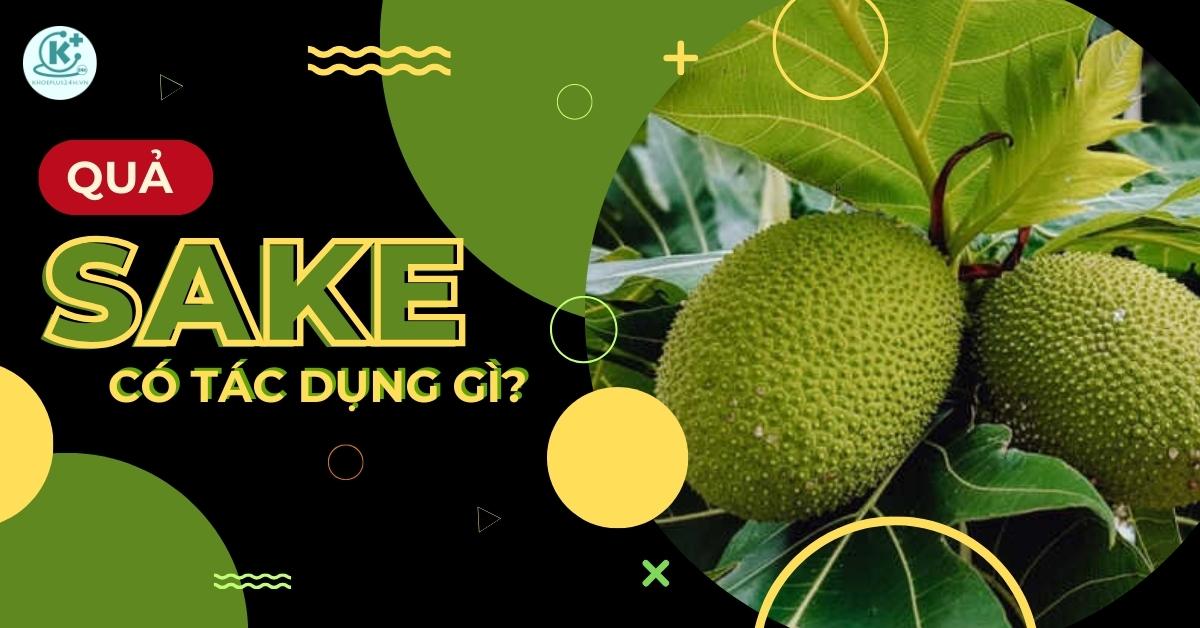 quả sa kê có tác dụng gì
