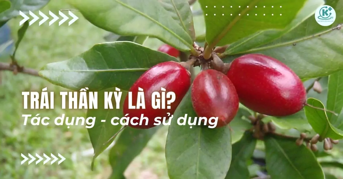 Trái thần kỳ