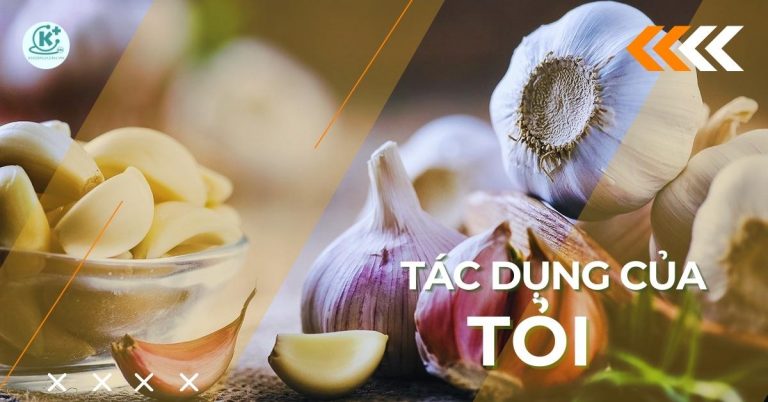 tác dụng của tỏi